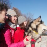 elevage malamute Alsace suisse