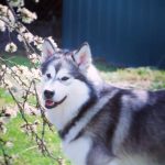 IMG_20190409_224037