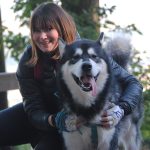 malamute elevage alsace 1