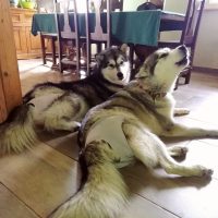 67067993_925253477825642_4329654332350791680_n