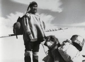 l'histoire du malamute d'Alaska