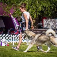 FB_IMG_1532524068770
