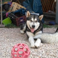 IMG_20160903_114511