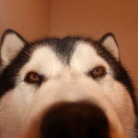 IMG_5704