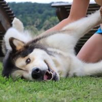 IMG_6491