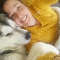 calins malamute elevage alsace