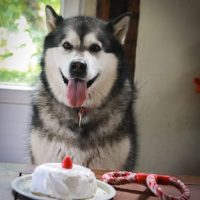 latika 6 ans