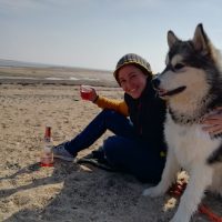 malamute-chiot-elevage-12