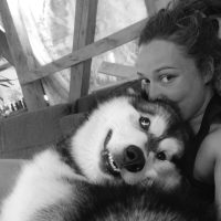 malamute-chiot-elevage-17